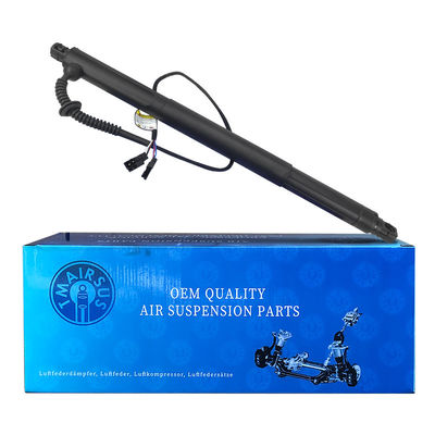 पावर लिफ्टगेट के लिए बीएमडब्ल्यू X6 E71 2007-2014 एलएच स्वचालित स्लाइडिंग गेट ओपनर 51247332697