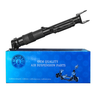 प्यूमेटिक शॉक एब्सॉर्बर्स के साथ वायु निलंबन प्रबंधन प्रणाली Ben-Z W251/R300