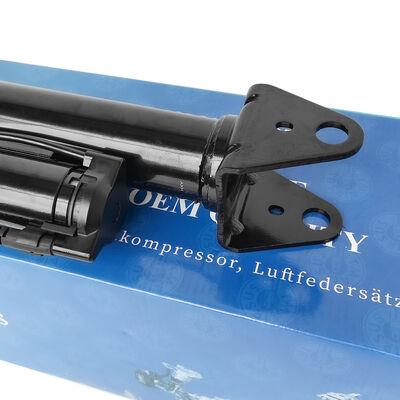 प्यूमेटिक शॉक एब्सॉर्बर्स के साथ वायु निलंबन प्रबंधन प्रणाली Ben-Z W251/R300