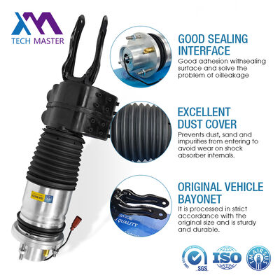 फैक्टरी हॉट सेल ऑडी ई-ट्रॉन जीटी पोर्श-चे टाय-कैन सस्पेंशन शॉक एब्जॉर्बर के लिए