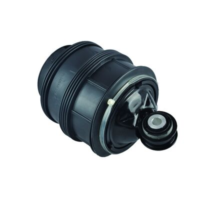 ऑटो पार्ट्स एयर सस्पेंशन स्प्रिंग्स 2113200925 के लिए मर्सिडीज W211 4मैटिक सस्पेंशन एयरमैटिक पार्ट्स निर्माता सस्पेंशन पार्ट्स