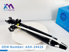 टेक मास्टर LINCOIN MKS MKT रियर विथ इलेक्ट्रिक शॉक एब्सॉर्बर ASH-24428