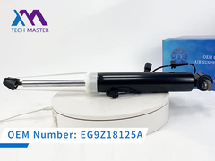 टेक मास्टर लिंकन MKZ ADS EG9Z18125A के साथ रियर राइट शॉक एब्सॉर्बर