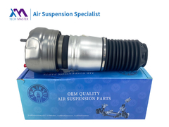 टेक मास्टर TMAIRSUS पैरामेरा 97034305115XLB के लिए फ्रंट एयर स्प्रिंग