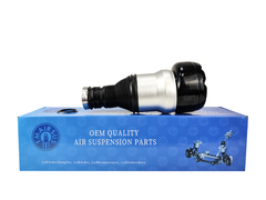 TMAIRSUS Mercedes-Benz W222 V222 X222 2223200413 के लिए पीछे हवा वसंत