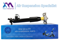 टेक्नॉलॉजी मास्टर लिंकन MKX F2GZ18125Z के लिए रियर लेफ्ट शॉक एब्सॉर्बर स्ट्रट