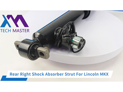 टेक मास्टर लिंकन MKX F2GZ18125G के लिए रियर राइट शॉक एब्सॉर्बर स्ट्रट