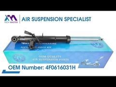 टेक मास्टर TMAIRSUS ऑडी A6L/C6 4F0616031H के लिए रियर लेफ्ट स्ट्रट शॉक एब्सॉर्बर