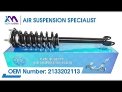 टेक मास्टर TMAIRSUS W213 ई-क्लास CLS C238 2 मैटिक 2133202113 के लिए फ्रंट लेफ्ट कॉइल शॉक