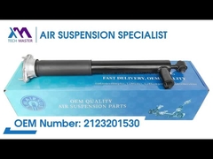 टेक मास्टर TMAIRSUS BENZ W212 2 मैटिक 2123231300 के लिए फ्रंट कॉइल शॉक