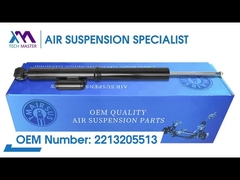 टेक मास्टर TMAIRSUS BENZ W221 2213205513 के लिए रियर बाएं और दाएं हवा निलंबन डिमपर कोर