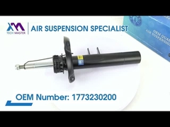 टेक मास्टर TMAIRSUS BENZ A वर्ग/W177/247 1773230200; 1773 के लिए फ्रंट राइट एंड लेफ्ट कॉइल स्प्रिंग शॉक