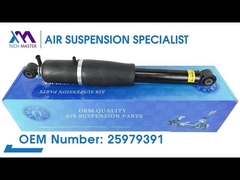 टेक मास्टर TMAIRSUS कैडिलैक एस्केलेड के लिए रियर सदमे से बचानेवाला; शेवरलेट, हिमस्खलन, उपनगर, ताहो;