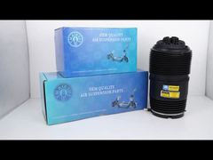 पोर्श पनामेरा 971 बेंटले फ्लाइंग स्पर कॉन्टिनेंटल जी के लिए टेक मास्टर TMAIRSUS रियर लेफ्ट एयर स्प्रिंग