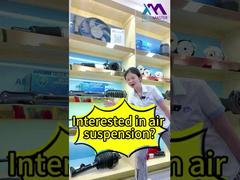 टेक मास्टर = आपका पेशेवर एयर सस्पेंशन शॉक फैक्ट्री स्रोत