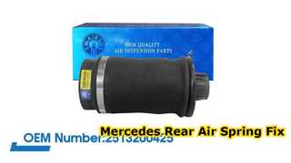 मर्सिडीज-बेंज W251/R350 R500 रियर एयर स्प्रिंग