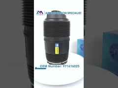 "पॉर्श पैनामेरा 971 बेंटले फ्लाइंग स्पर कॉन्टिनेंटल जीटी के लिए टेक मास्टर TMAIRSUS रियर लेफ्ट